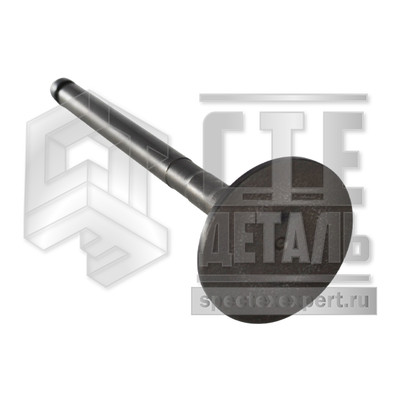 ce205dee014d11eea7e9bc97e1eed341_344c28fe45aa11ee9ab8bc97e1eeb951